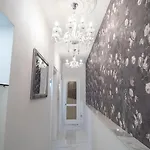 Elixir Luxury Split